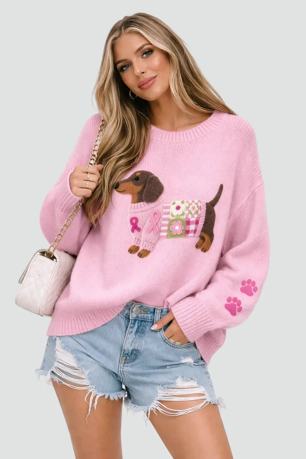Women's Printed Sweater with Dachshund Graphic & Ribbed Knit Trim - Worn Lifestyle